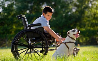 La place des animaux auprès des personnes handicapées